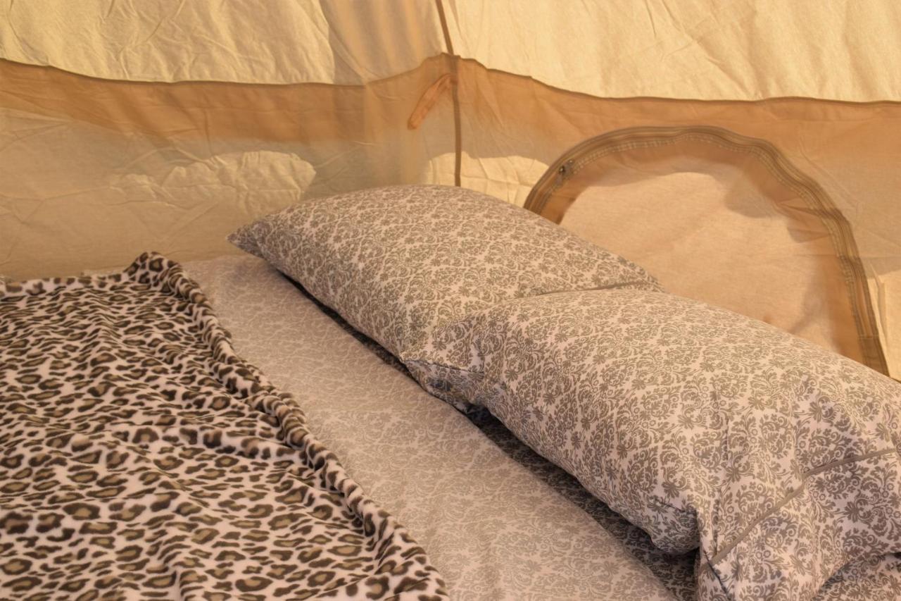 Starlight Tent 2 Holbrook Bagian luar foto